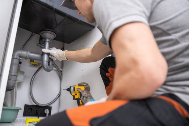 Best Garbage Disposal Repair and Installation  in Alta, IA